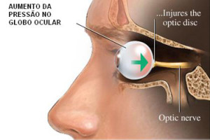 Anatomia do olho! Entenda como ele funciona