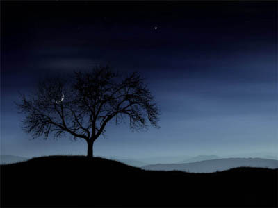 Passeio noturno! O melhor exercício para enxergar no escuro