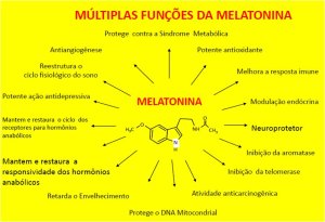 As funções da melatonina!
