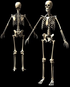 Osteoporose e Osteopenia