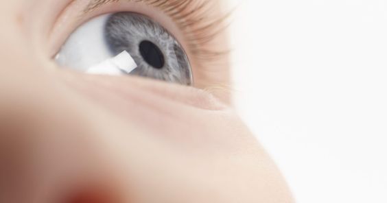 Você já conhece o app Olhos de Águia com dicas e exercícios visuais?