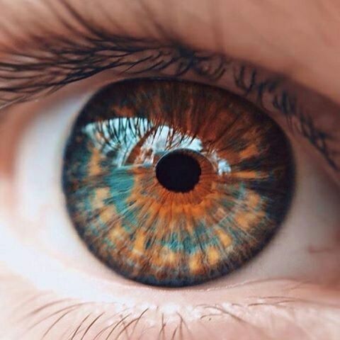 Sim, é possível tratar glaucoma com a prática de exercícios visuais e de forma natural. A pressão alta no olho ou pressão intraocular é um sinal característico do glaucoma, que é uma doença ocular que provoca lesão no nervo óptico.