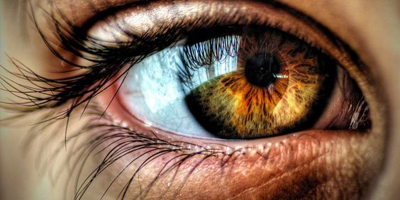 O controle do glaucoma e até mesmo a redução do uso de colírios – com aval dos médicos - podem ser conseguidos com a adoção de exercícios visuais e hábitos de saúde corretos que vão contribuir para que não ocorra o agravamento dessa doença.