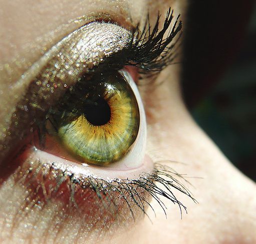 Como manter a disciplina nos treinos visuais e recuperar de forma efetiva a qualidade da saúde dos meus olhos? Esse pode ser um grande desafio para quem decide cuidar da visão de forma natural, sem o uso de medicamentos.