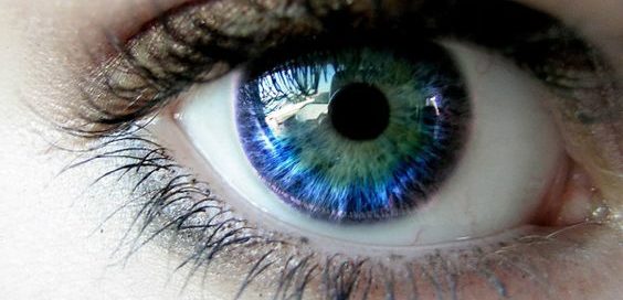 Musculação para os olhos está ao alcance de todos! Com exercícios simples e poderosos, monte sua rotina básica diária de treinos e melhore sua visão de forma natural.