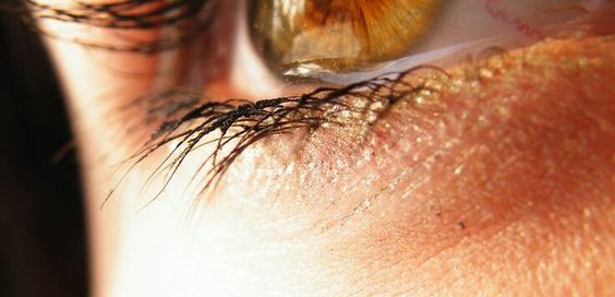 Causas da presbiopia e como melhorar naturalmente esse problema de visão caracterizado pela dificuldade de enxergar de perto. Na hora da leitura, por exemplo, as letras pequenas começam a ficar desfocadas.