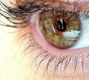 Exercícios visuais diários – praticados no formato de sequências rápidas e simples – estimulam sua visão mais do que você imagina