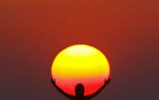 Sensibilidade à Luz é uma das queixas mais comuns que tenho ouvido dos meus alunos e seguidores nas redes sociais. Mas, você sabia que a luz solar é o melhor alimento para os seus olhos?
