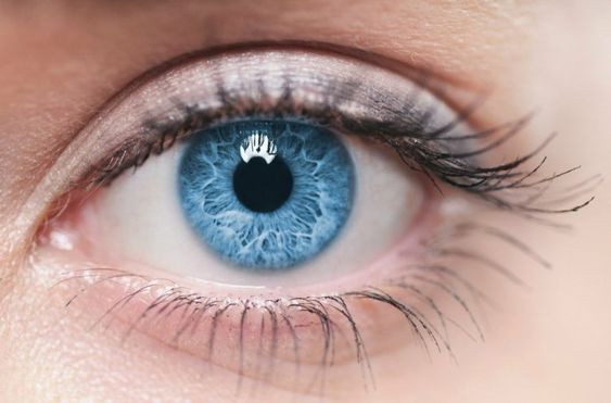 Hipermetropia: você sabe como é a visão de quem tem esse problema? Vou explicar nesse post um pouco do que acontece com os olhos dos hipermetropes, denominação de quem apresenta essa alteração.