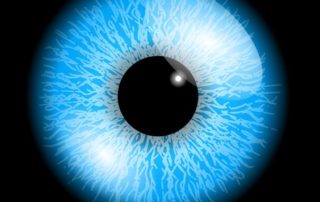 A mácula é uma área minúscula e poderosa dos olhos localizada bem no centro da retina formada por células dos olhos da águia, conhecidas como cones.