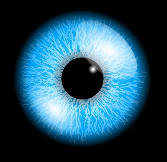A mácula é uma área minúscula e poderosa dos olhos localizada bem no centro da retina formada por células dos olhos da águia, conhecidas como cones.