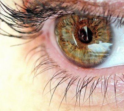 Catarata e Moscas Volantes: O Mito que Envolve essas Alterações Visuais