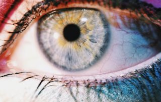Treino Inicial para a Visão Trabalha Relaxamento e Lubrificação dos Olhos