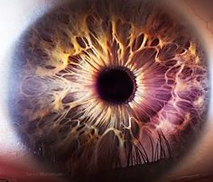 Luteína e Zeaxantina: Substâncias Essenciais para a Saúde Ocular