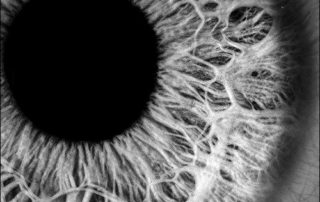 Olhos Podem ser Treinados para Você Ver Melhor, Ter Mais Nitidez e Foco