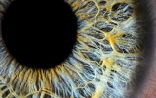 Retinopatia Diabética é desconhecida por 54% dos Diabéticos, diz Pesquisa
