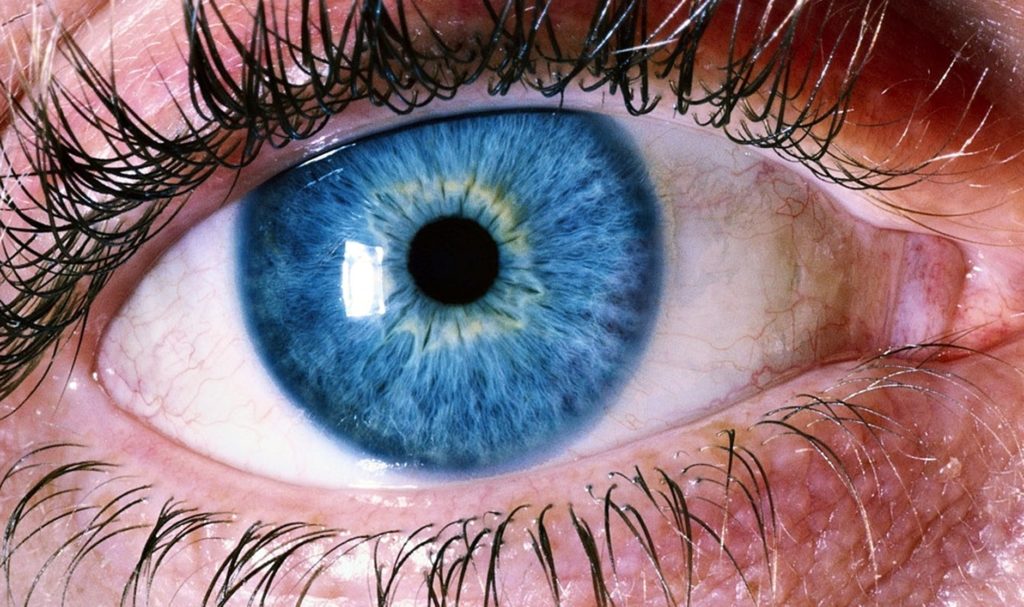 Detox Visual: 5 Passos para Você Descansar os Olhos