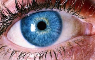 Detox Visual: 5 Passos para Você Descansar os Olhos