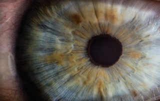 Estímulo da Retina: as Melhores Sequências de Exercícios